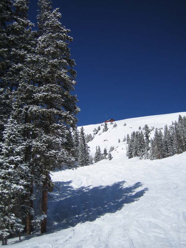 Spalding Bowl
